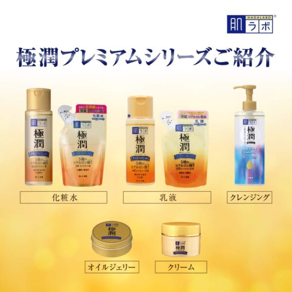 Hada Labo Gokujyun Clear Lotion 170 Ml Pack - Image 3